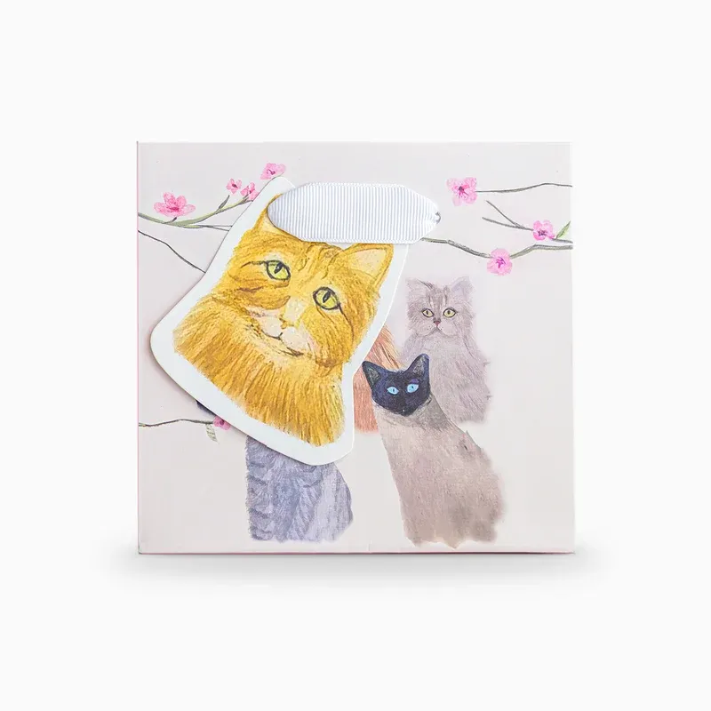 HC03SB - Cats Gift Bag Small