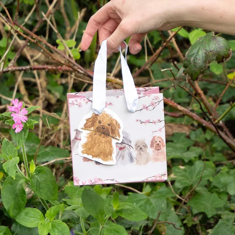HC02SB - Dogs Gift Bag Small