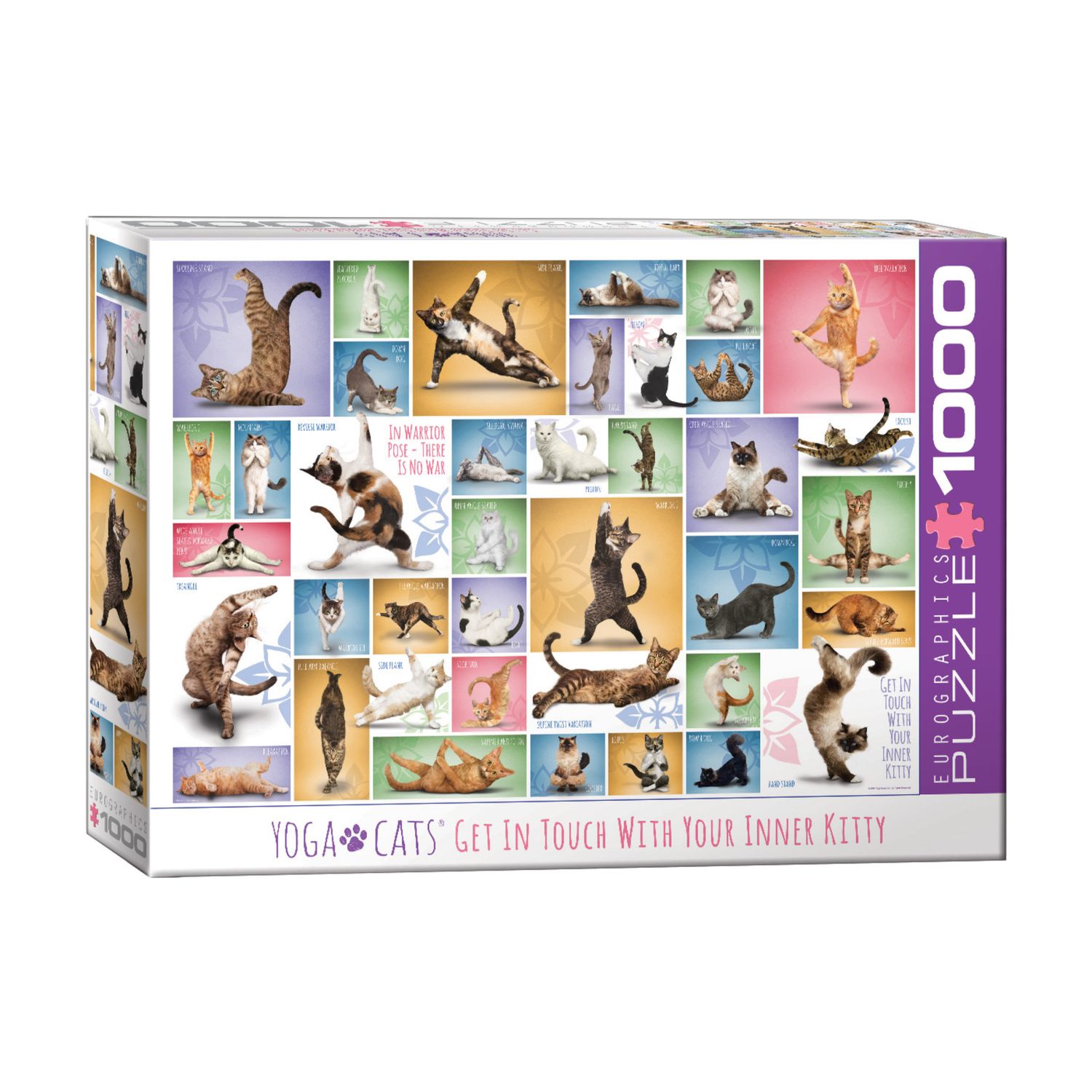 Yoga Cats
