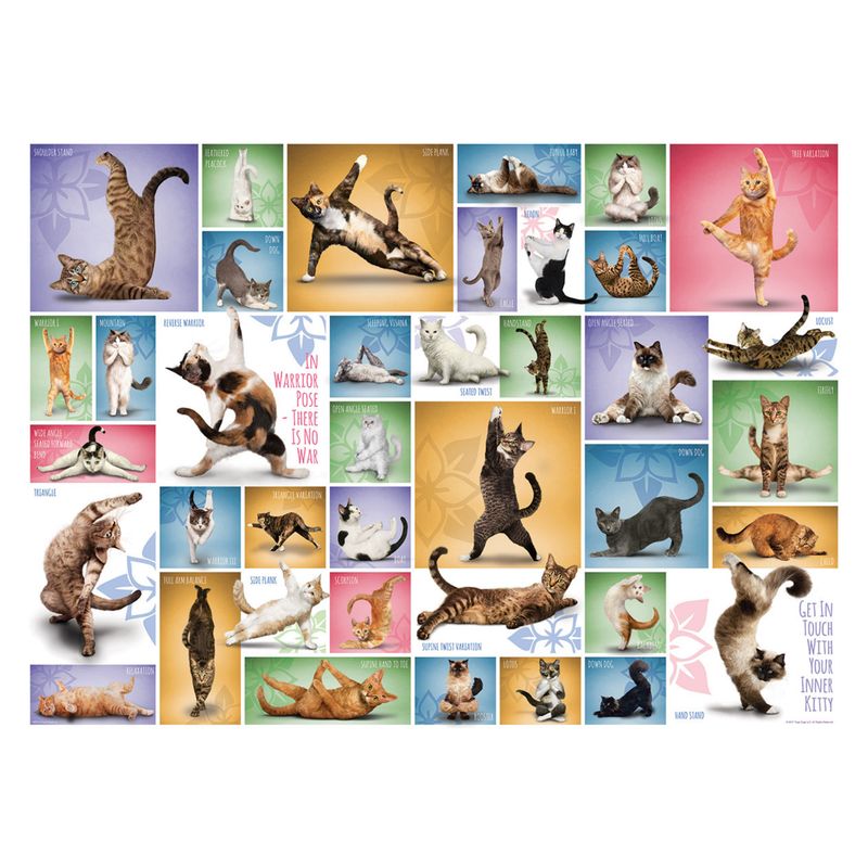 Yoga Cats