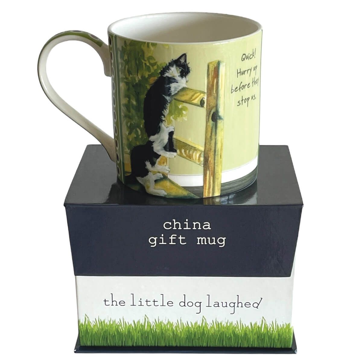 Kittens China Mug - Quick Hurry Up Before They Stop Us