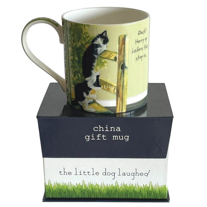 Kittens China Mug - Quick Hurry Up Before They Stop Us