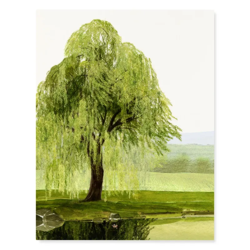 Sympathy Card - Whispering Willow
