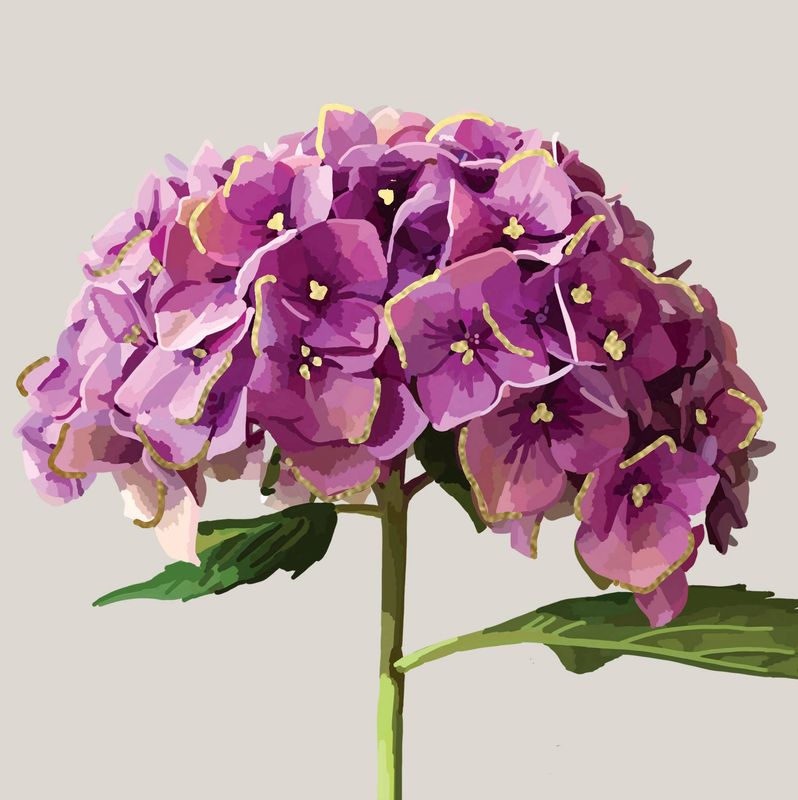 Pink Hydrangea Foiled Greeting Card