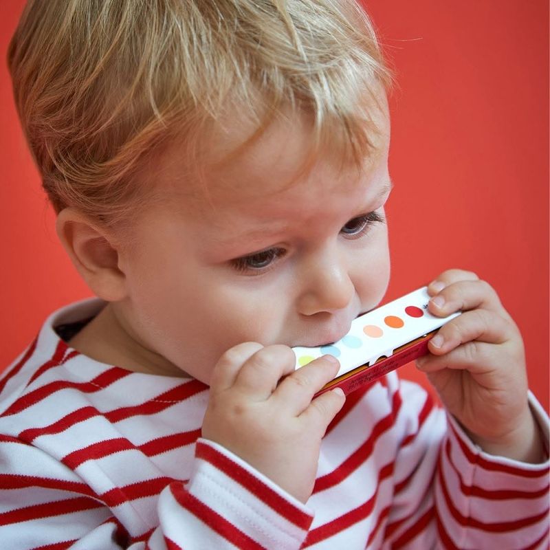 Confetti Metal Harmonica