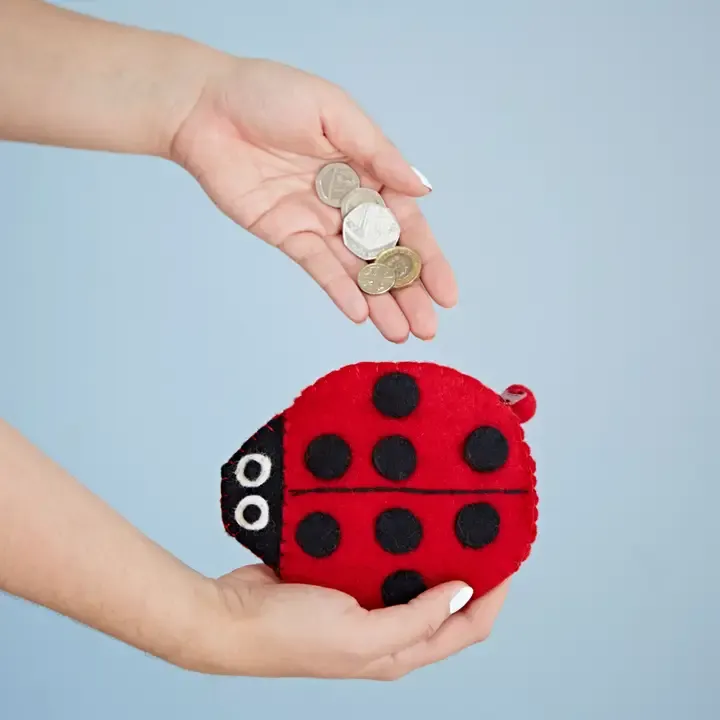 Felt Ladybug Coin Purse