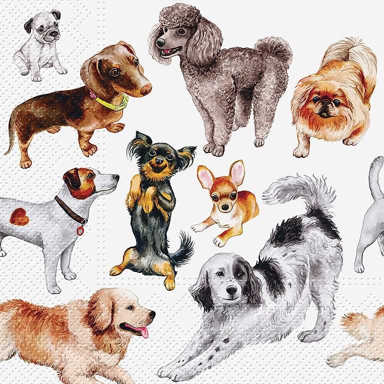Dogs Happiness Napkins