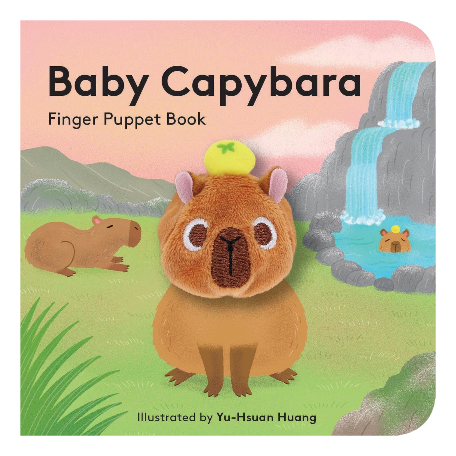 Baby Capybara: Finger Puppet Book