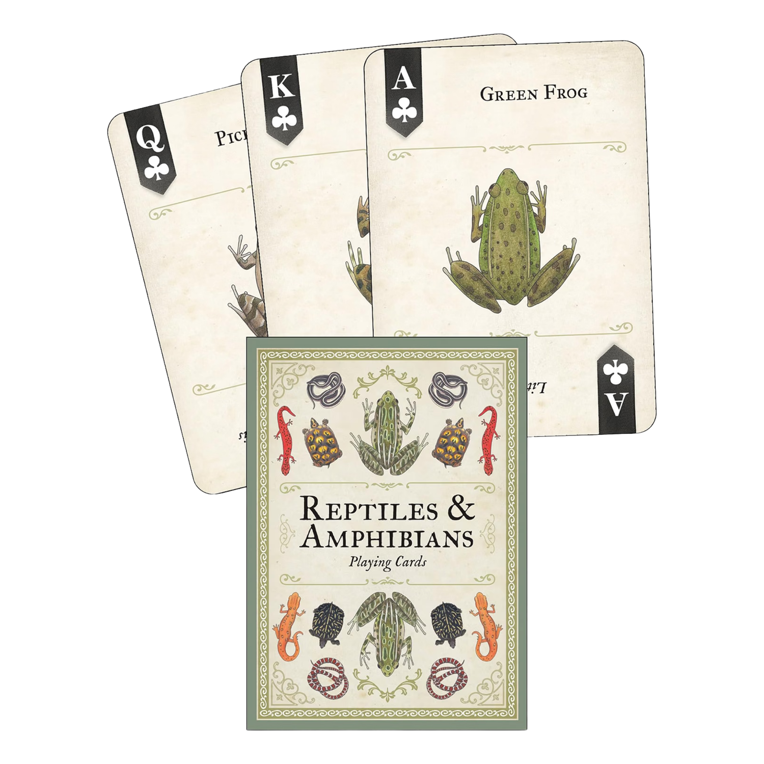 Reptiles &amp; Amphibians Playing Cards