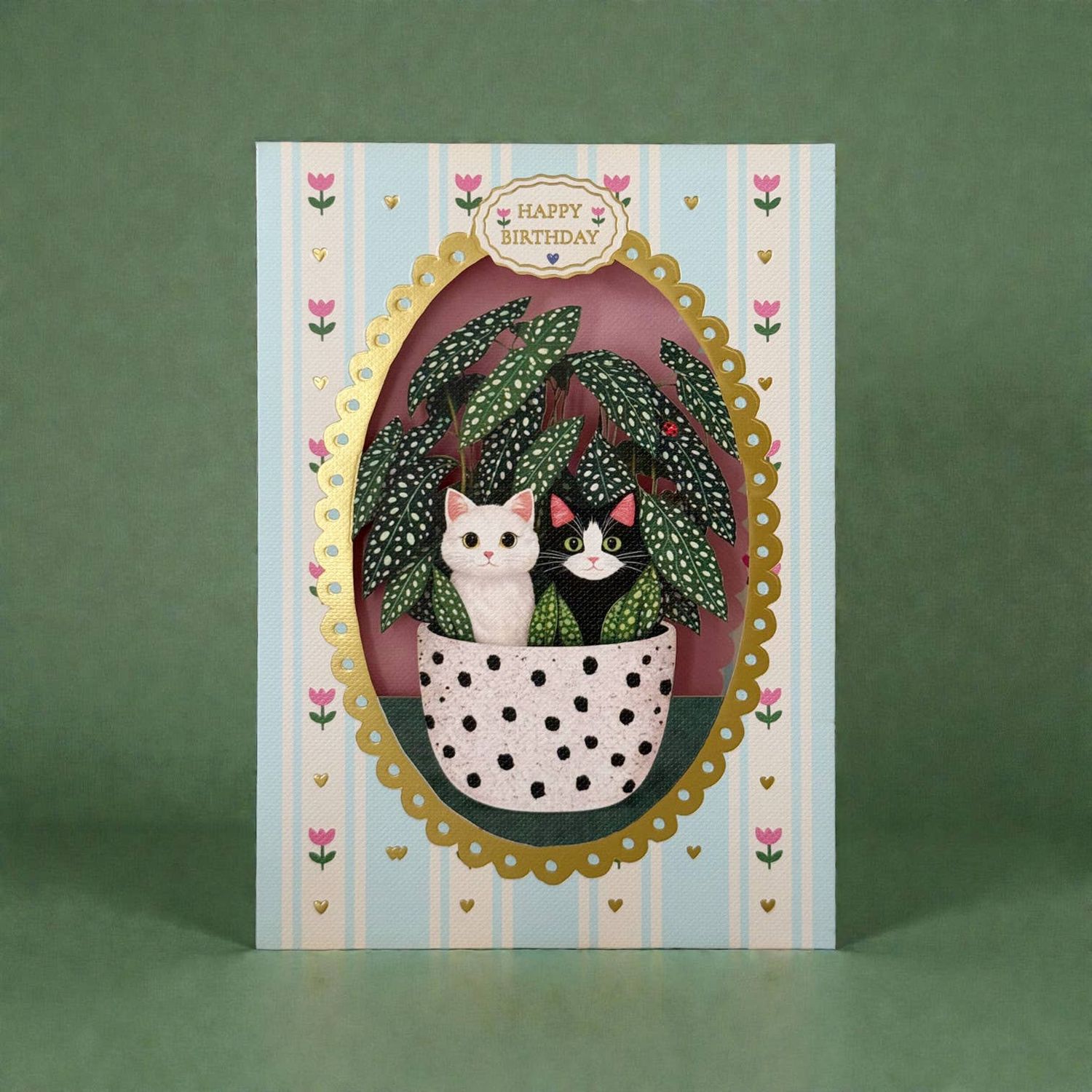 AL324 – Potted Kitten Birthday