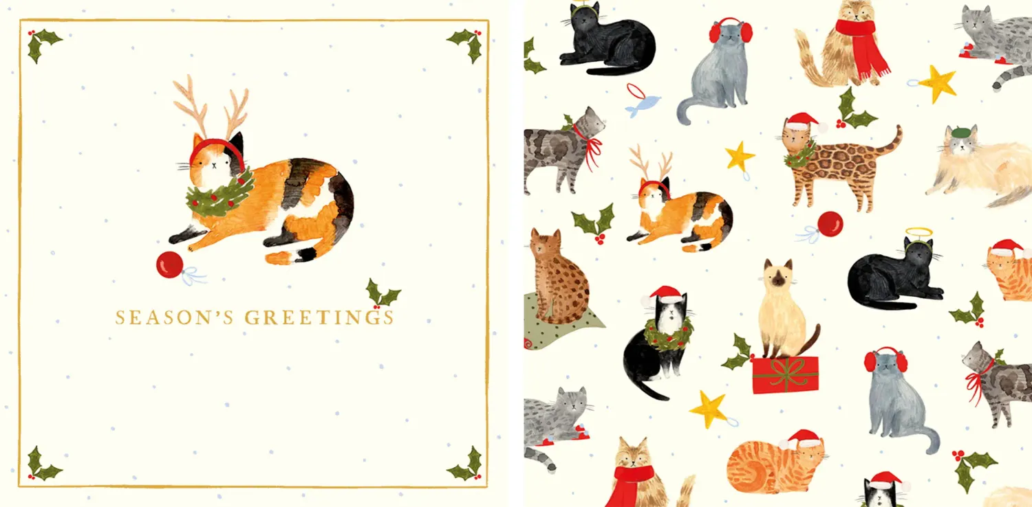 Christmas Card wallet - 10 cards