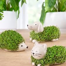 Mini Chia Pet Planters Assorted