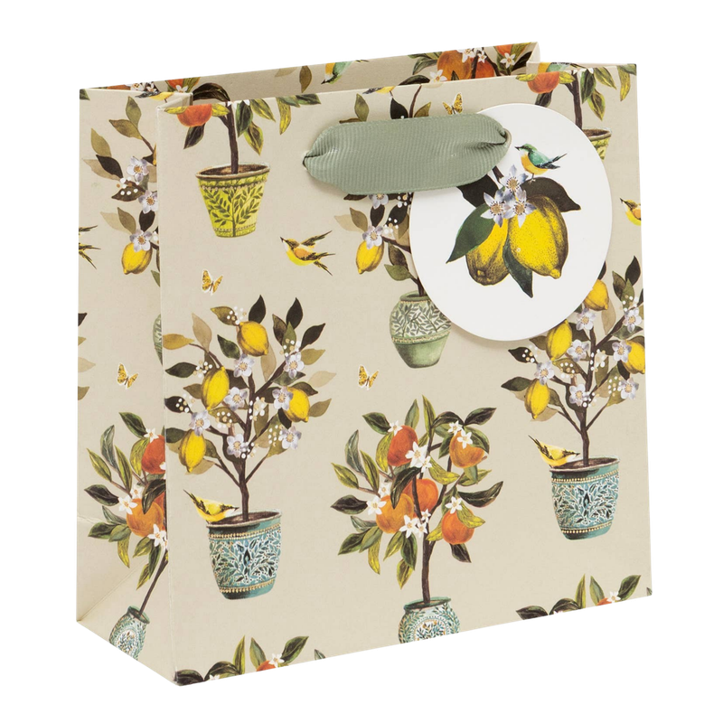 Fruit Orchard Gift Bag Small