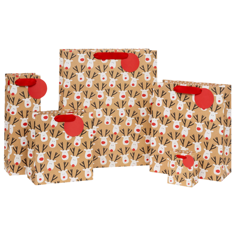 Reindeer Selfie Gift Bag Medium