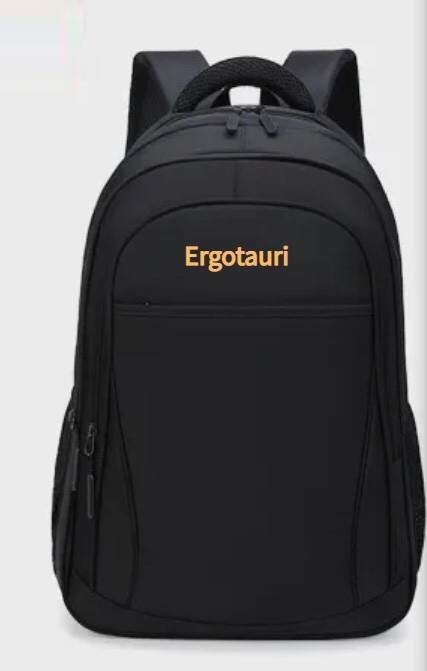 Ergotauri Laptop Backpack