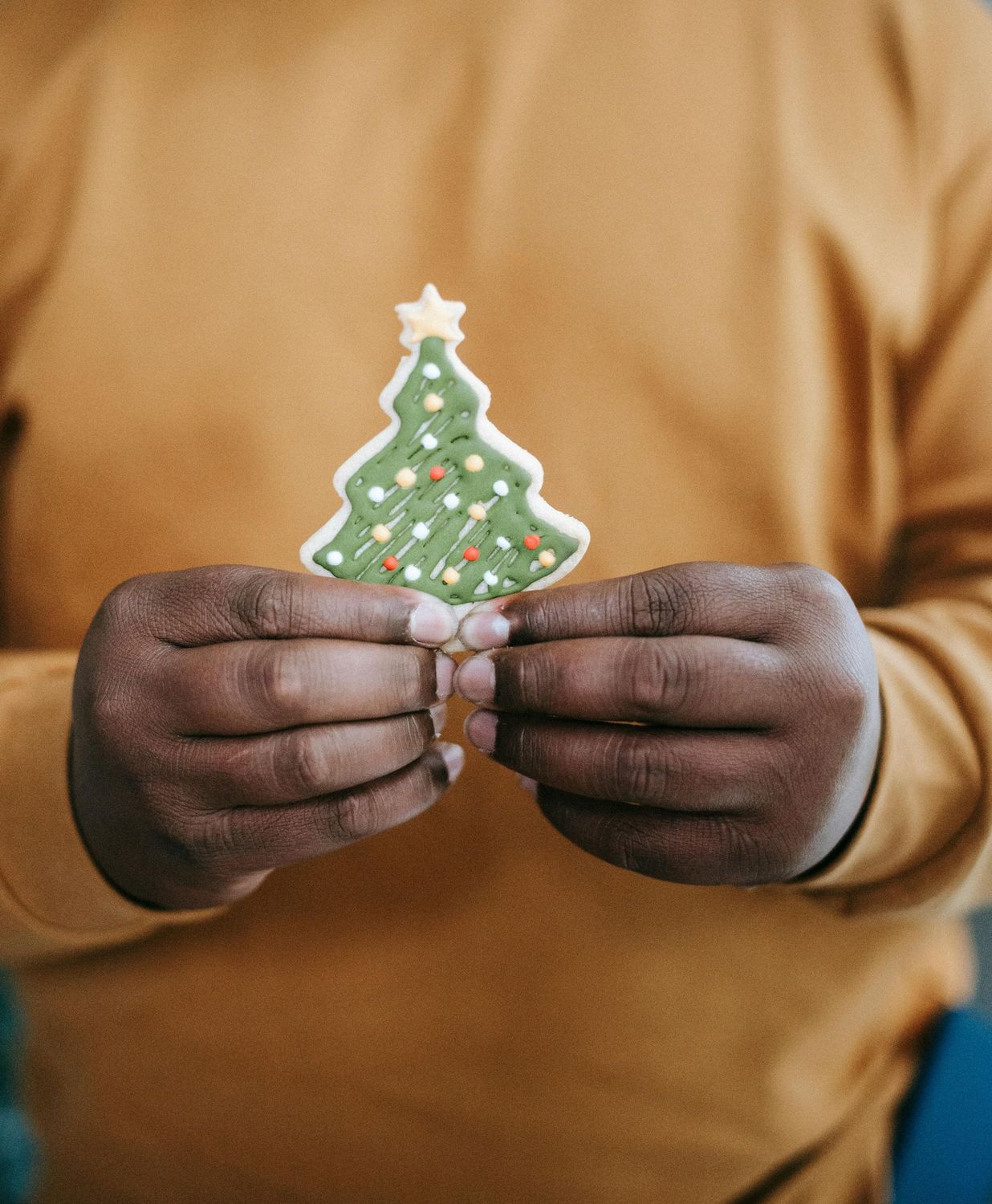 Christmas Tree Cookie (2x)