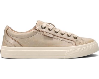 PLIM SOUL LUX OYSTER