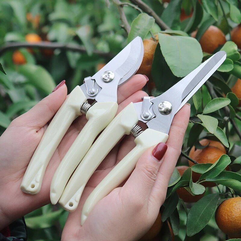 STAINLESS STEEL GARDEN PRUNING SHEARS