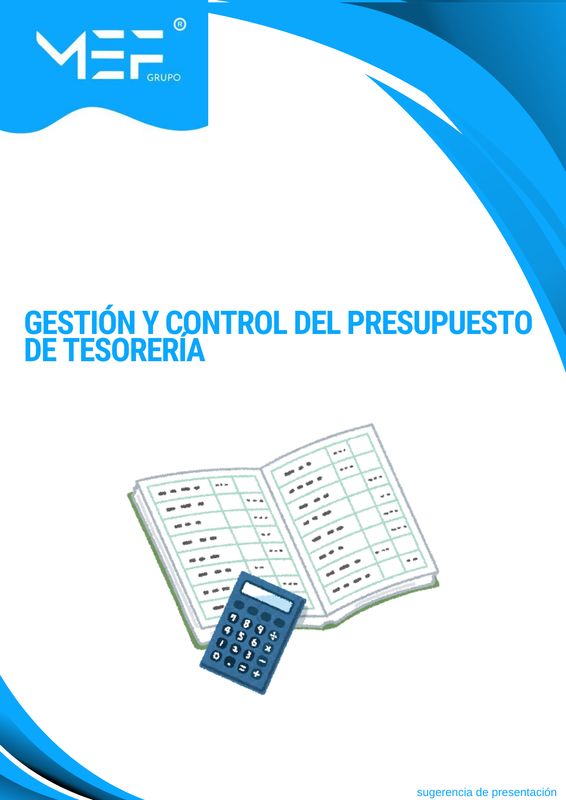 Gestión y Control del Presupuesto de Tesorería
