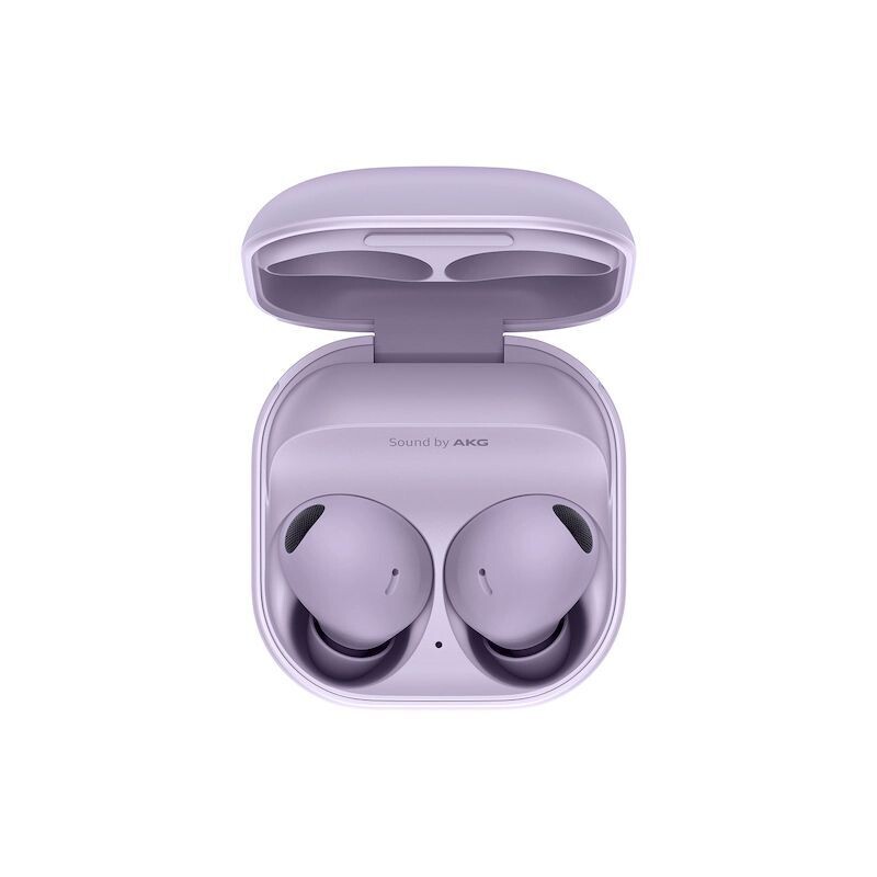 Samsung Galaxy Buds FE Earbuds