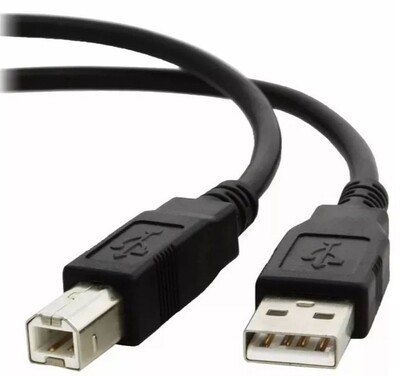 Xtech XTC-303 10ft USB 2.0 Printer Cable A-Male to B-Male