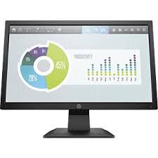 HP P204V 19.5" Monitor