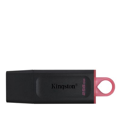 Kingston DataTraveler Exodia 256GB USB 3.2 Flash Drive