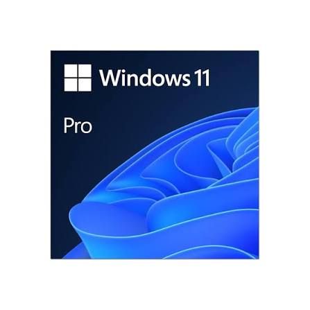 Microsoft ESD Windows 11 Pro 64-bit