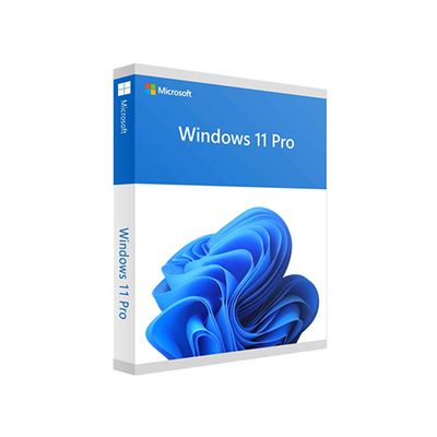 Microsoft ESD Windows 11 Pro 64-bit