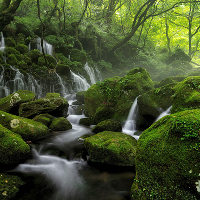Wassersteine