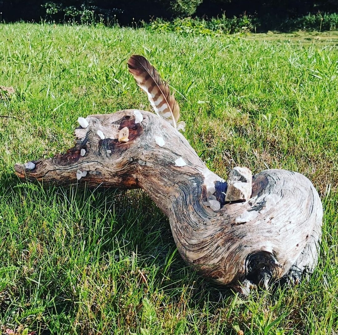 WURZEL MIT MINERALIEN - PREIS NACH AUFWAND