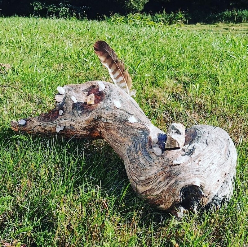 WURZEL MIT MINERALIEN - PREIS NACH AUFWAND