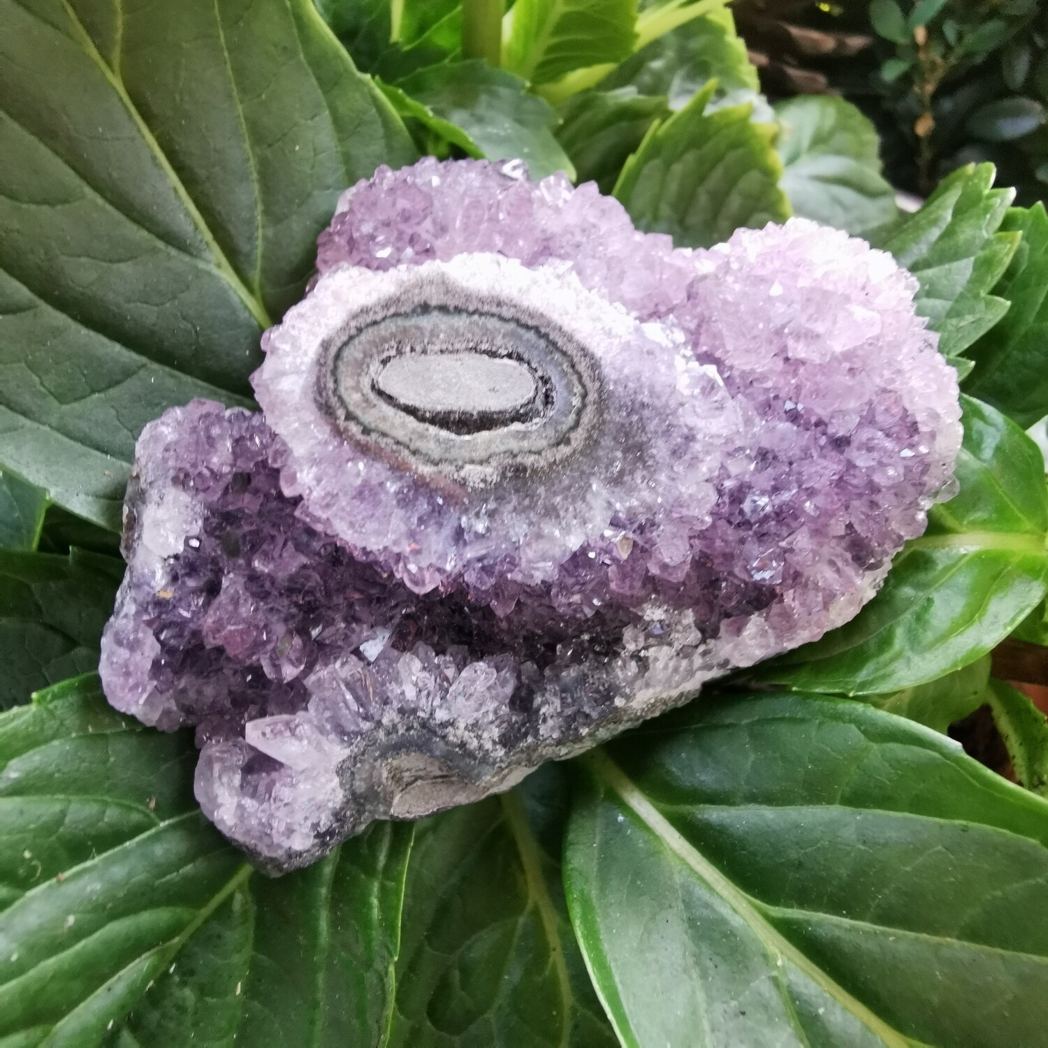 AMETHYST STALAKTIT URUGUAY *SEHR SELTEN* AMETHYST STALAKTIT URUGUAY *SEHR SELTEN*
