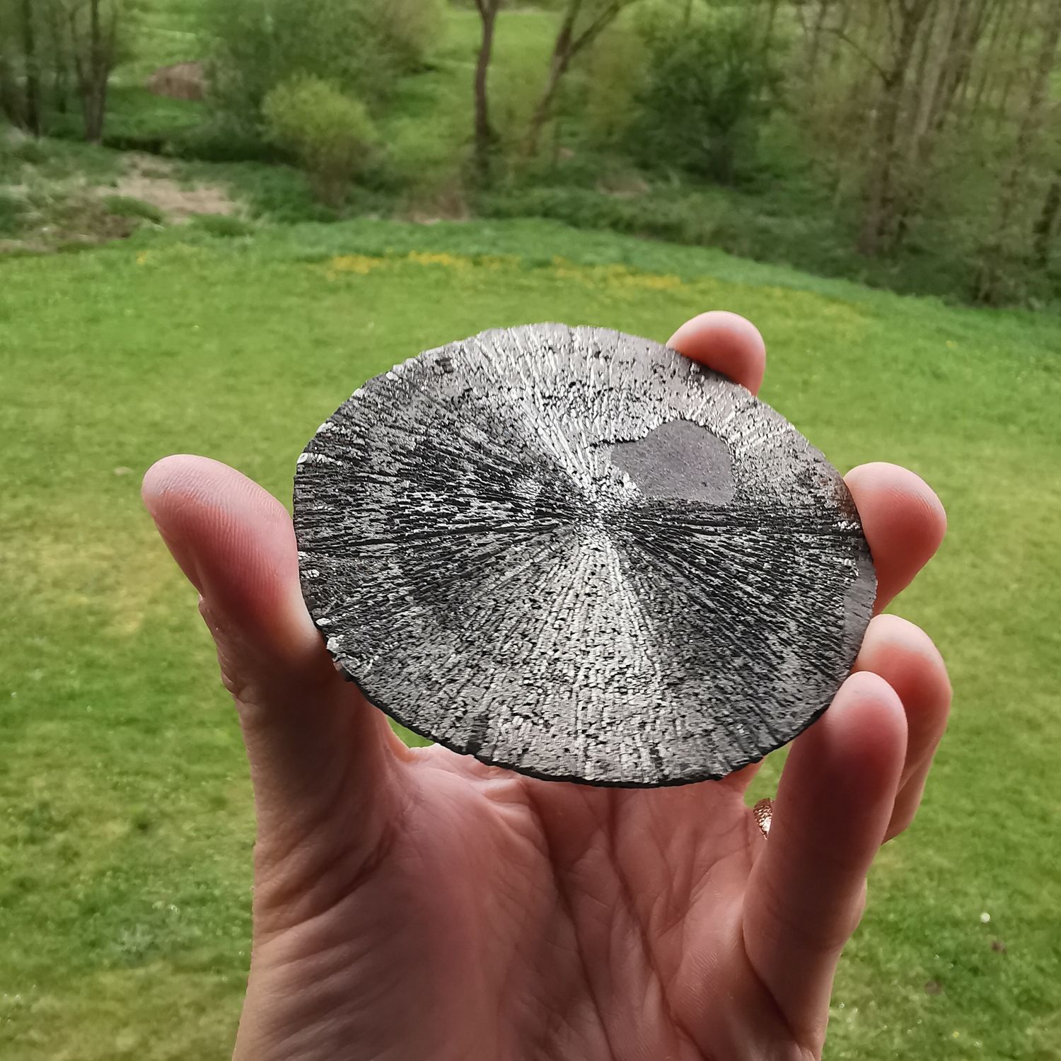 Pyritsonne 9cm-Mineralien *RARITÄTEN* sehr selten!!!