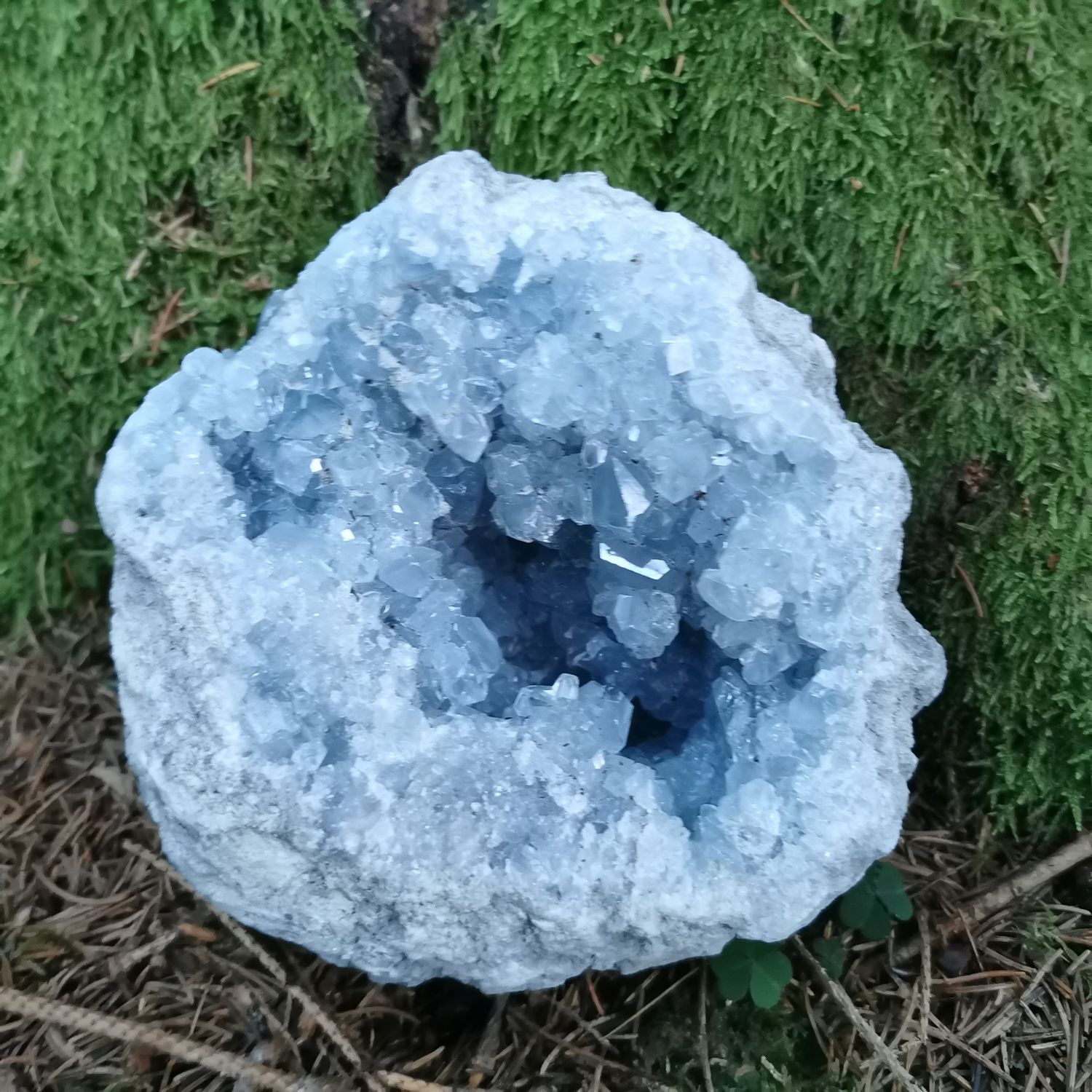 Coelestin Cluster Madagaskar XXL -Mineralien, Kristalle, Edelsteine, Heilsteine