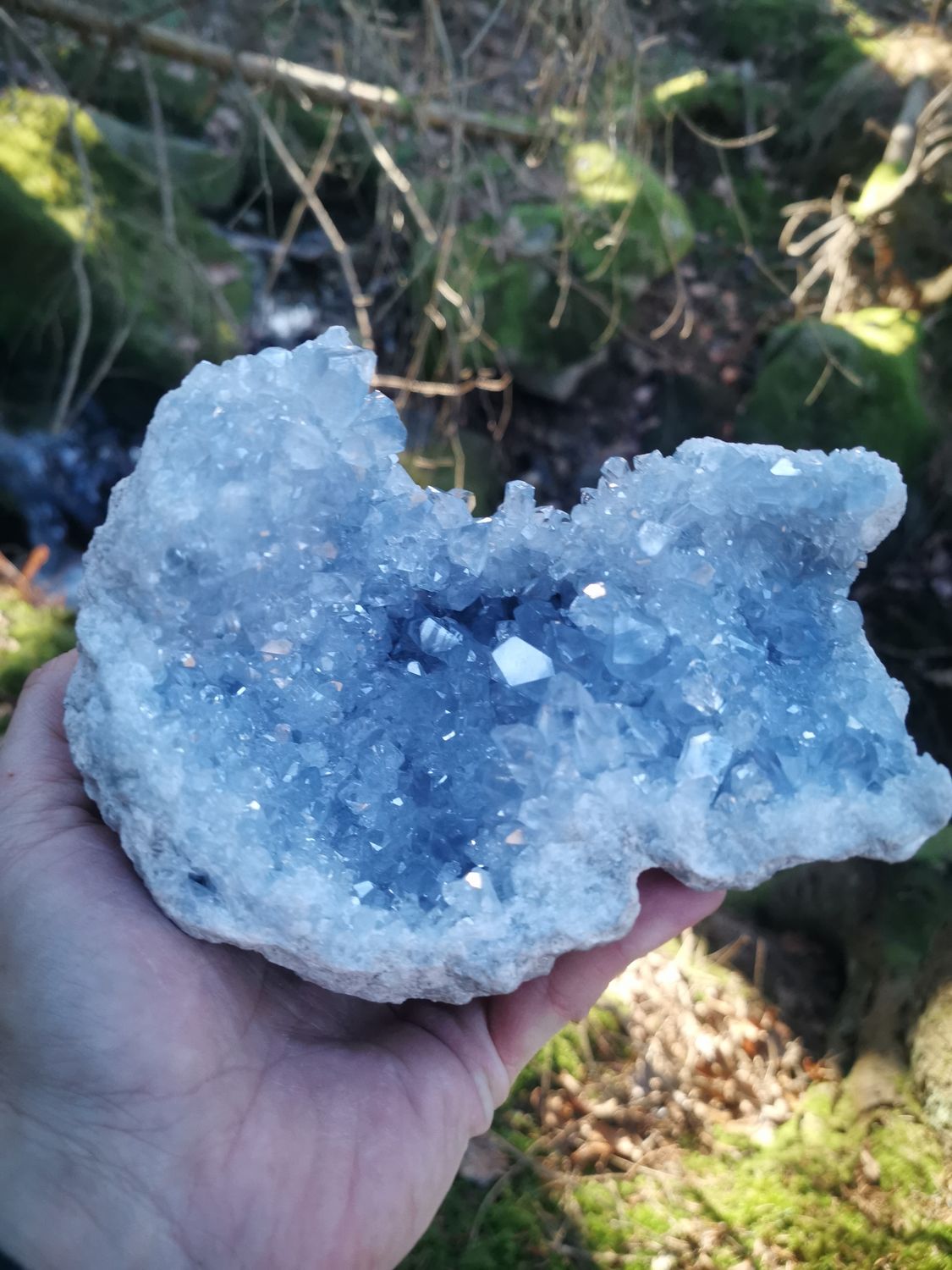 XXL Coelestin Cluster Madagaskar