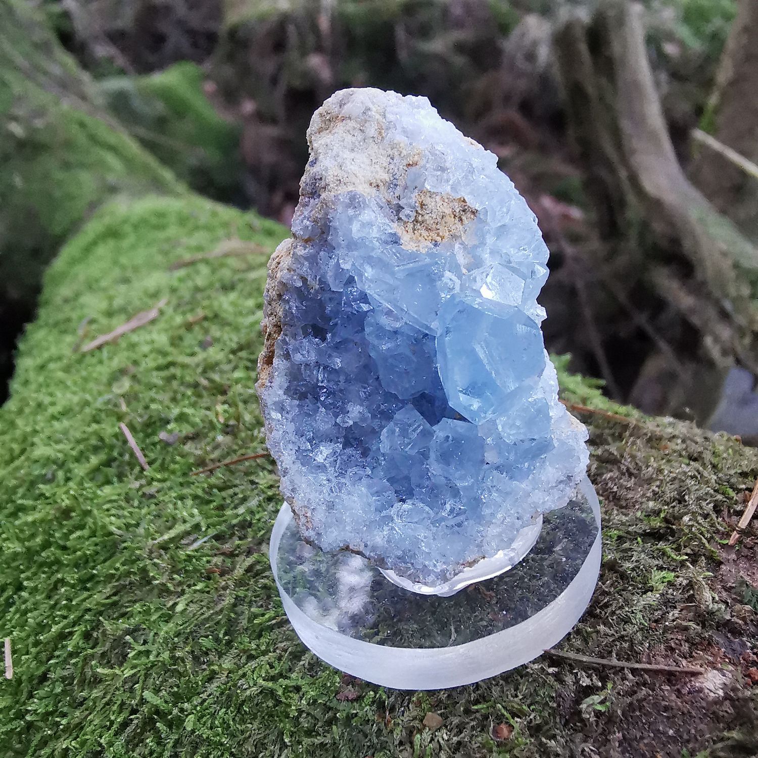 Coelestin Madagaskar - Mineralien, Kristalle, Edelsteine, Heilsteine