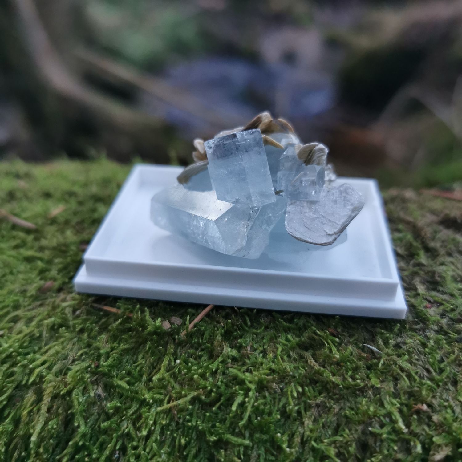 *TOP* Aquamarin auf Muskovit