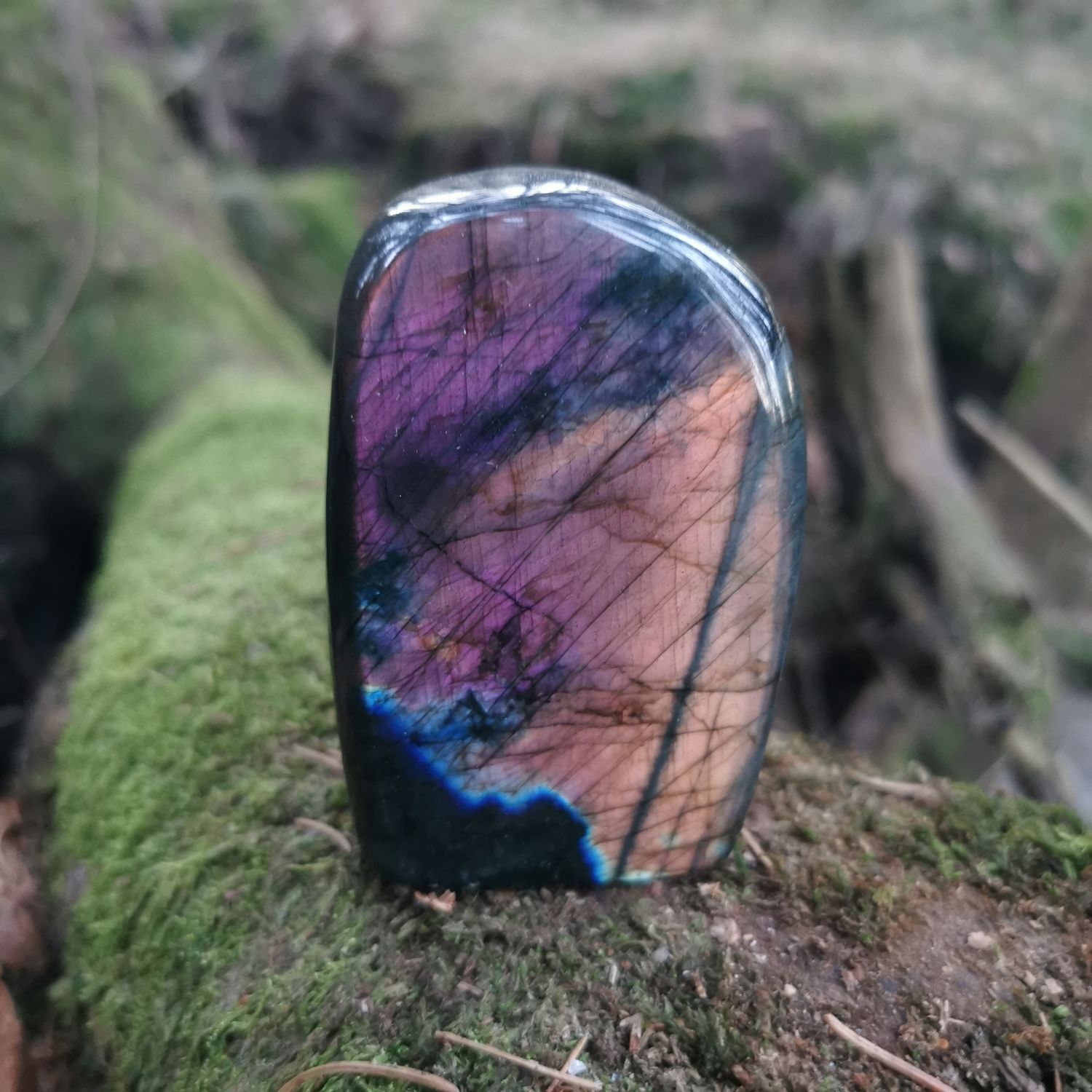 *Sunset* Labradorit  *RARITÄT*  Madagaskar