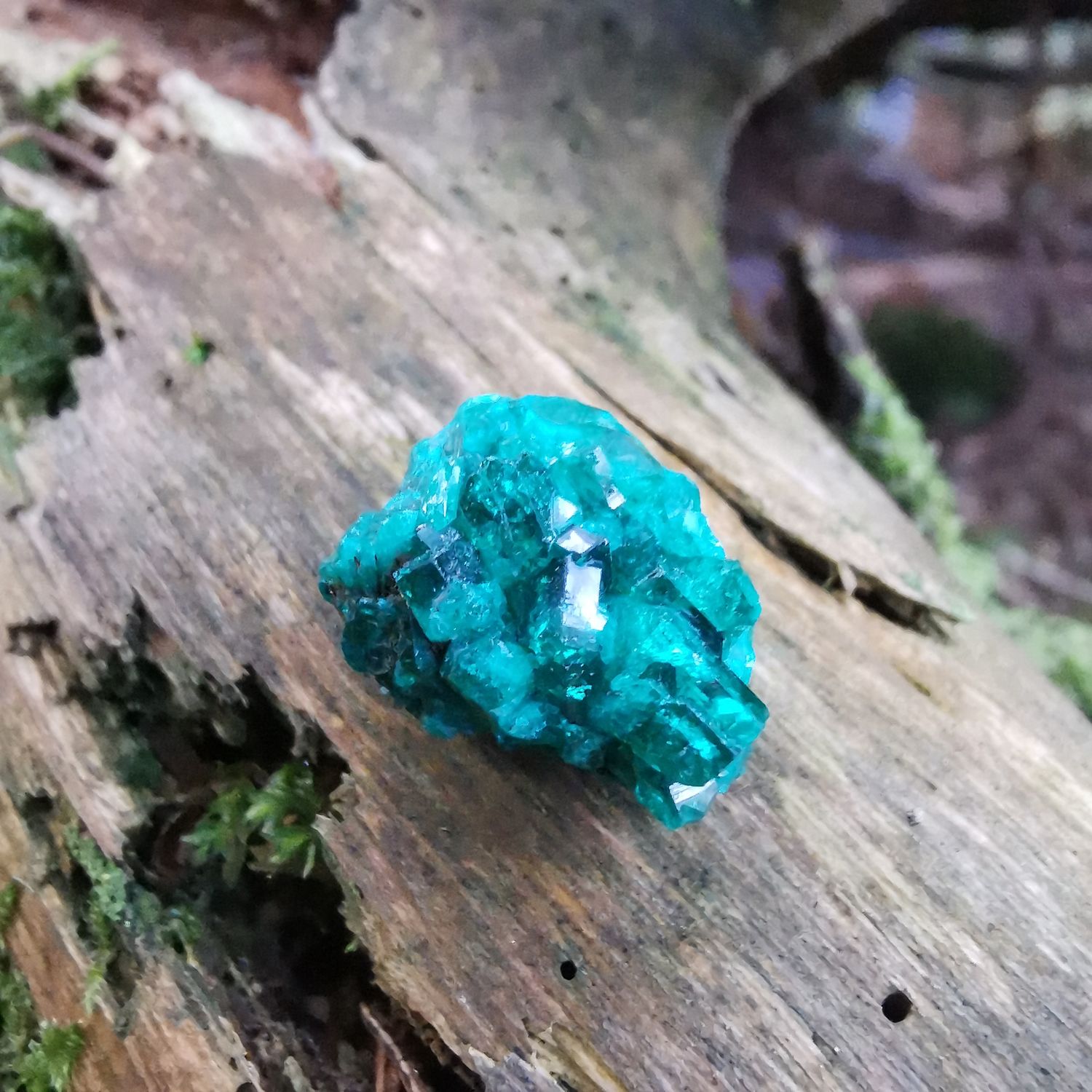 Dioptas - Kristalle, Mineralien, Rohsteine