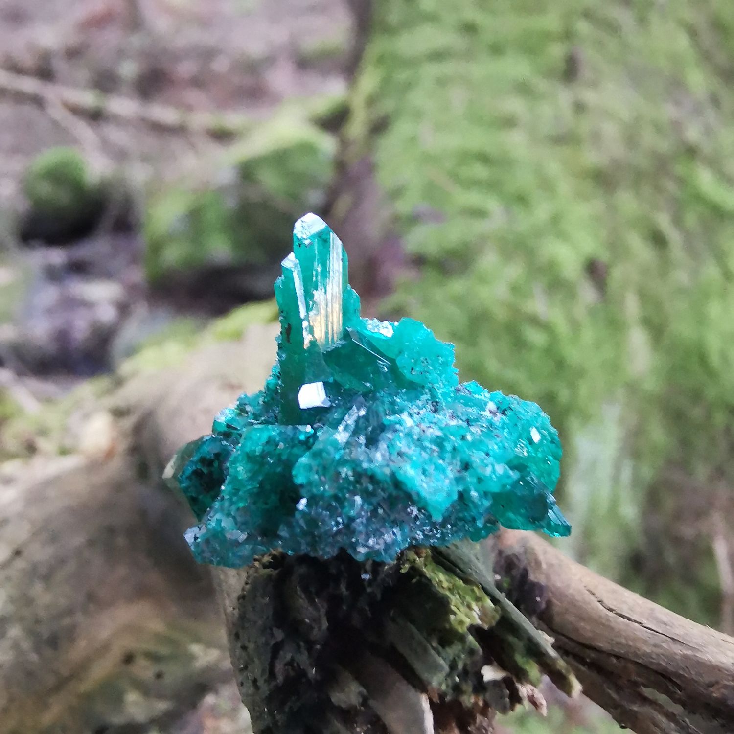 Dioptas - Kristalle, Mineralien, Rohsteine