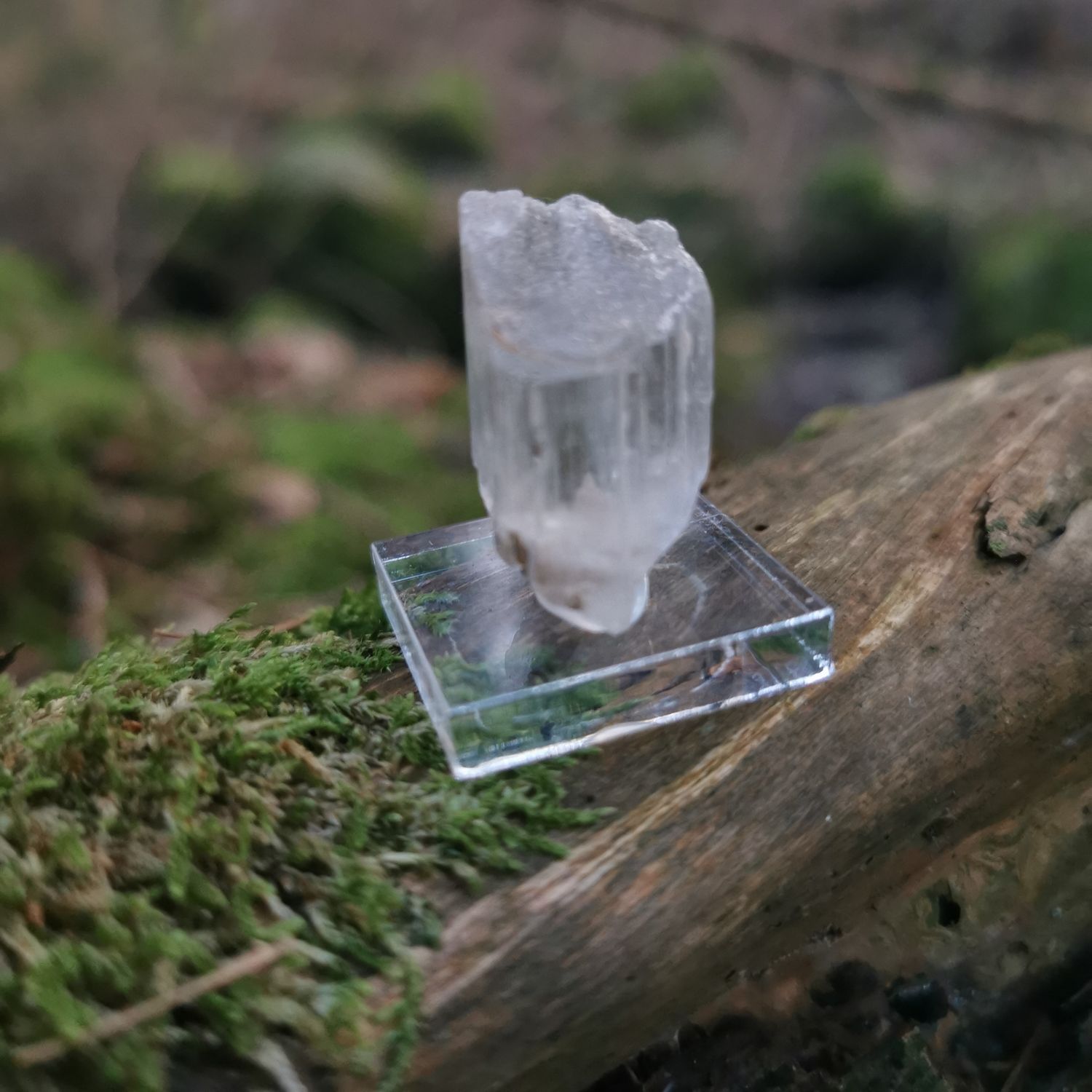 Seltener Spodumen - Kristalle, Edelsteine, Mineralien, Rohsteine