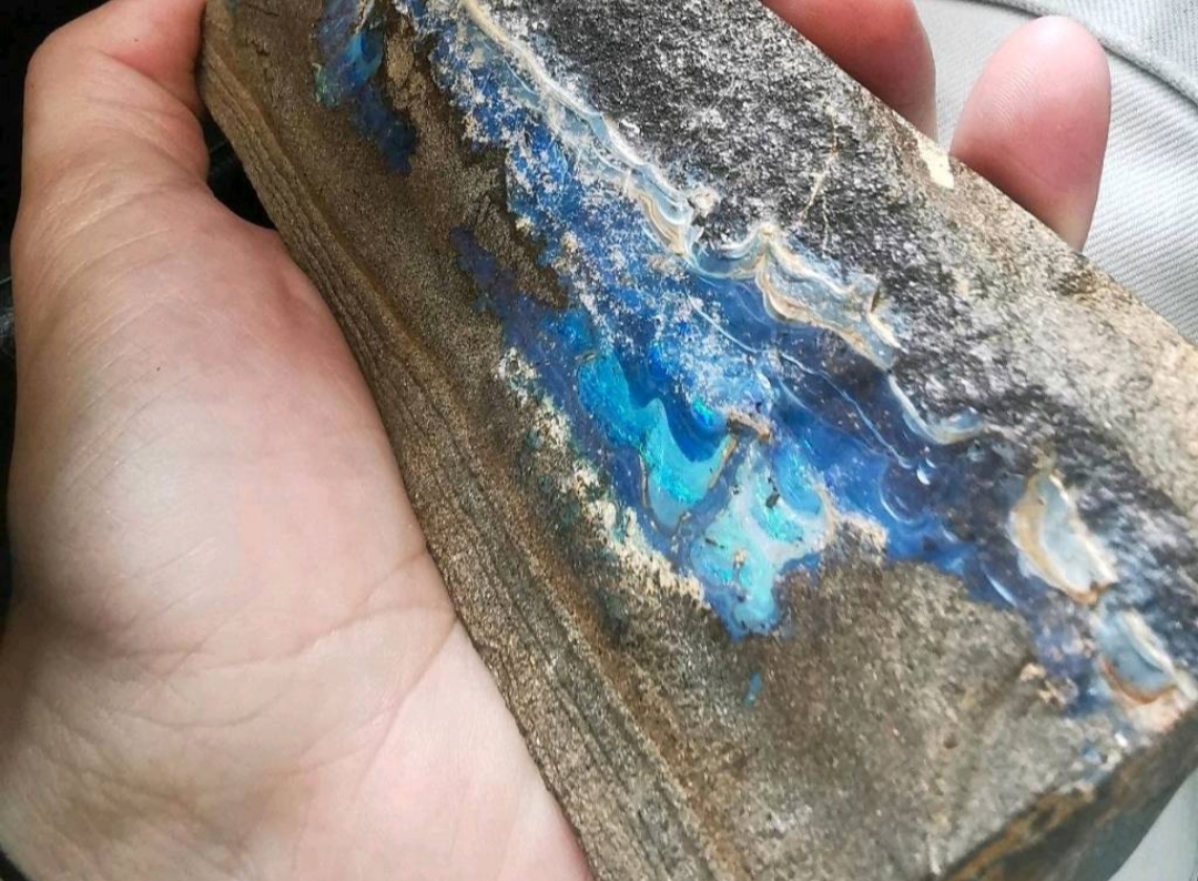 XXL Boulder Opal - Mineralien, Edelsteine, Sammlerstufe