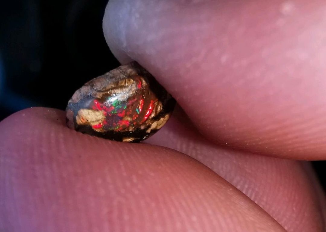 Top Boulder Opal 1.3ct. - Mineralien, Edelsteine, Schmuck, Schmuckher-stellung