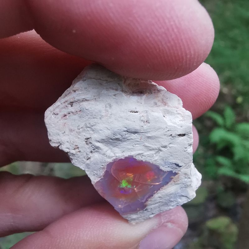 Opal in Rhyolith Mexiko  66,60 ct.  - Mineralien, Kristalle, Edelsteine, Rohsteine