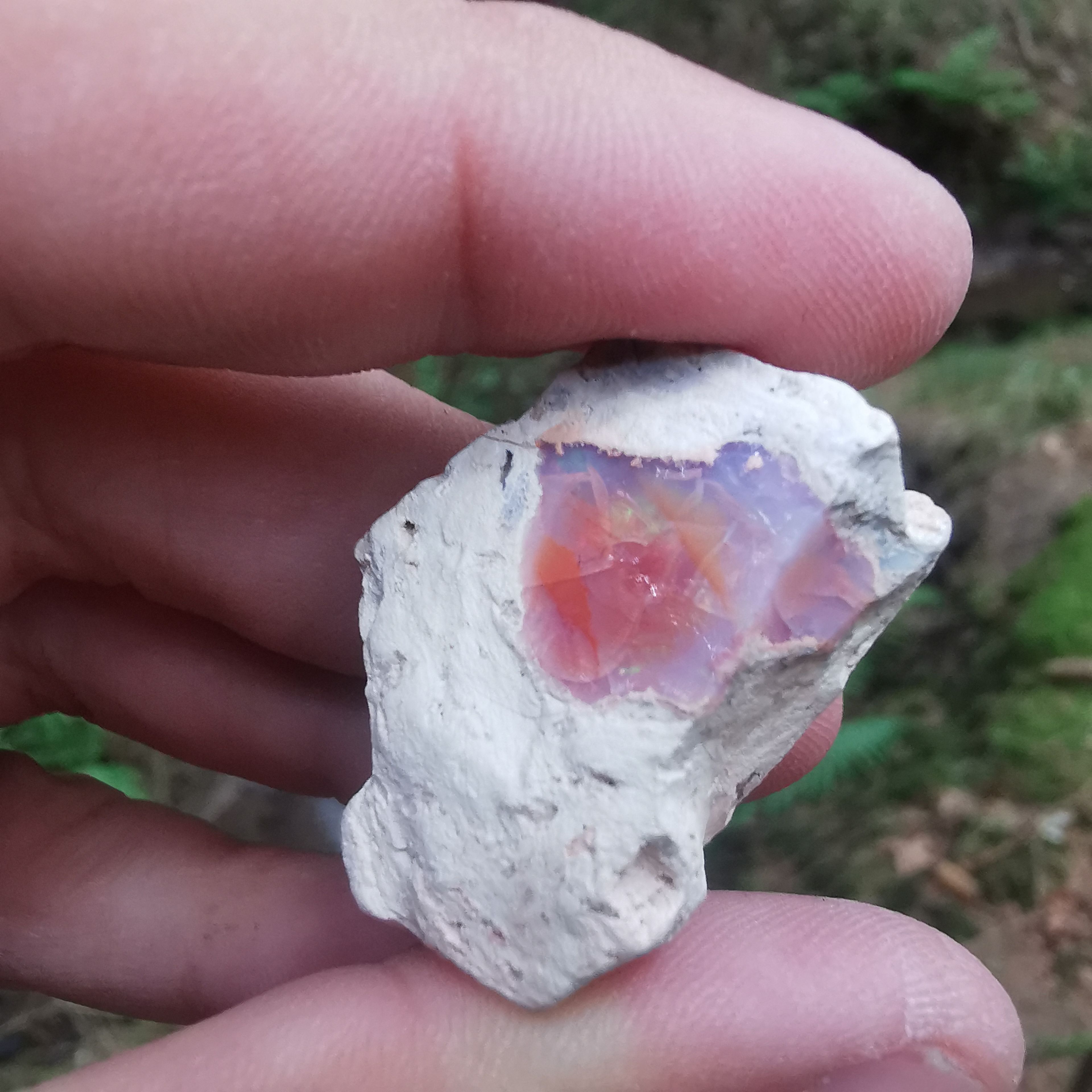 Opal in Rhyolith Mexiko 66,60 ct. - Mineralien, Kristalle, Edelsteine, Rohsteine
