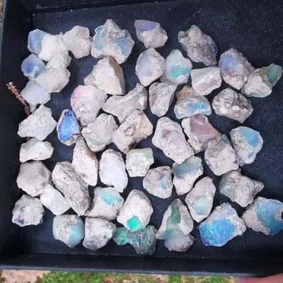 Welo Opale Konvolut 135ct. - Mineralien, Kristalle, Edelsteine, Schmuck, Schmuck-herstellung, Sammlung Welo Opale Konvolut 135ct. - Mineralien, Kristalle, Edelsteine, Schmuck, Schmuck-herstellung, Sammlung