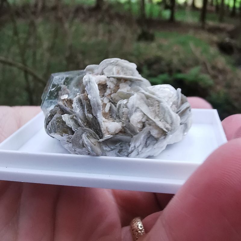 Aquamarin Muskovit -Mineralien, Kristalle, Edelsteine, Mineraliensammlung