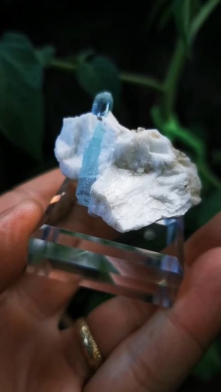 AQUAMARIN AAA Qualität *rar*- Mineralien Kristalle, Sammlerstufe