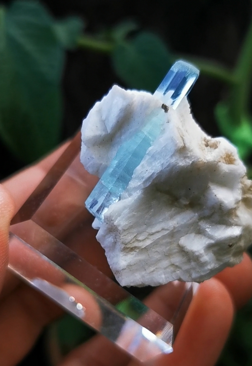 AQUAMARIN AAA Qualität *rar*- Mineralien Kristalle, Sammlerstufe